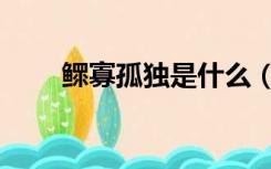 鳏寡孤独是什么（鳏寡孤独的意思）