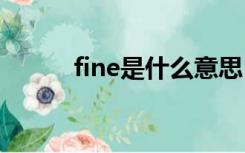 fine是什么意思（fj是什么意思）