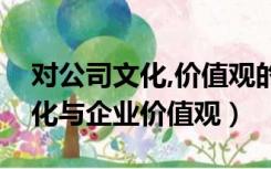 对公司文化,价值观的认识（如何认识企业文化与企业价值观）