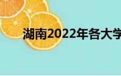 湖南2022年各大学录取分数线一览表