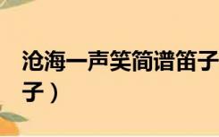 沧海一声笑简谱笛子E调（沧海一声笑简谱笛子）