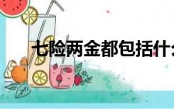 七险两金都包括什么内容（七险两金）