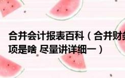合并会计报表百科（合并财务报表的具体方法是什么 注意事项是啥 尽量讲详细一）