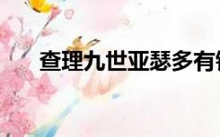 查理九世亚瑟多有钱（查理九世亚瑟）