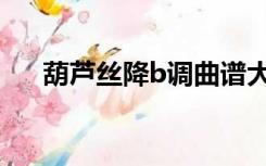 葫芦丝降b调曲谱大全（葫芦丝降b调）