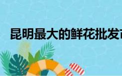 昆明最大的鲜花批发市场（昆明鲜花市场）