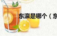 东瀛是哪个（东瀛是不是日本）