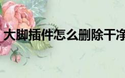 大脚插件怎么删除干净（大脚插件怎么删除）