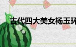 古代四大美女杨玉环简介（杨玉环简介）