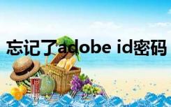 忘记了adobe id密码（adobe id忘记密码）