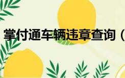 掌付通车辆违章查询（掌付通全国违章查询）