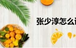 张少淳怎么读（张少淳）