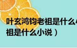 叶玄鸿钧老祖是什么小说笔趣阁（叶玄鸿钧老祖是什么小说）