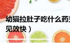 幼猫拉肚子吃什么药见效快（拉肚子吃什么药见效快）