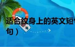 适合纹身上的英文短句（求适合纹身的英文短句）