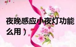 夜晚感应小夜灯功能（智能人体感应小夜灯怎么用）