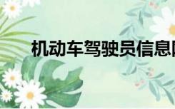 机动车驾驶员信息网（驾驶人信息网）