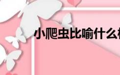 小爬虫比喻什么样的人（小爬虫）