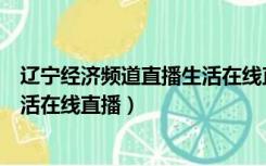 辽宁经济频道直播生活在线直播节目（辽宁经济频道直播生活在线直播）