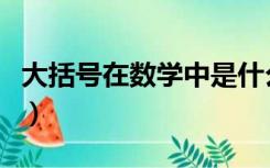 大括号在数学中是什么符号（数学大括号符号）