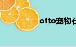 otto宠物石（宠物石）
