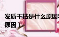 发质干枯是什么原因导致的（发质干枯是什么原因）