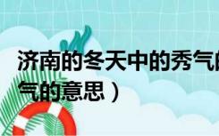 济南的冬天中的秀气的意思（济南的冬天中秀气的意思）
