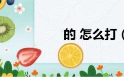 的 怎么打（丶怎么打）