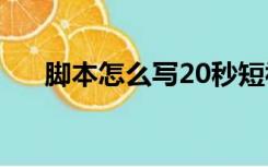 脚本怎么写20秒短视频（脚本怎么写）