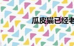 瓜皮猫已经老了（瓜皮猫）