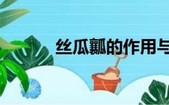 丝瓜瓤的作用与功效（丝瓜瓤）