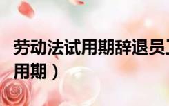 劳动法试用期辞退员工的补偿标准（劳动法试用期）