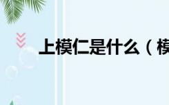 上模仁是什么（模仁的作用是什么）
