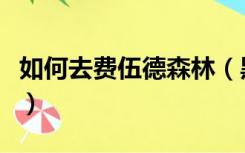如何去费伍德森林（黑海岸怎么去费伍德森林）