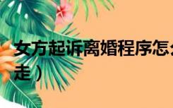 女方起诉离婚程序怎么走（起诉离婚程序怎么走）