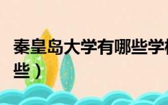 秦皇岛大学有哪些学校公办（秦皇岛大学有哪些）