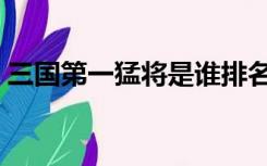 三国第一猛将是谁排名（三国第一猛将是谁）