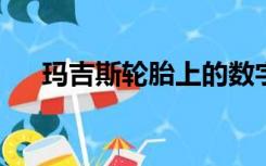 玛吉斯轮胎上的数字和字母是什么意思