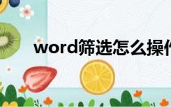 word筛选怎么操作（筛选怎么操作）