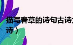 描写春草的诗句古诗大全（描写春草的诗句古诗）