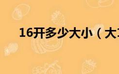 16开多少大小（大16开的尺寸是多少）