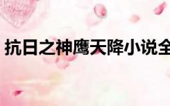 抗日之神鹰天降小说全本（抗日之神鹰天降）