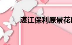 湛江保利原景花园（湛江购房网）