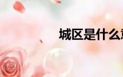 城区是什么意思（城区）