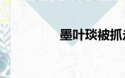 墨叶琰被抓走（墨叶琰）