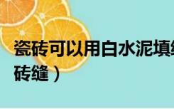 瓷砖可以用白水泥填缝吗（怎样用白水泥填瓷砖缝）