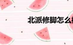 北派修脚怎么样（北派修脚）