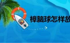 樟脑球怎样放置（樟脑球）