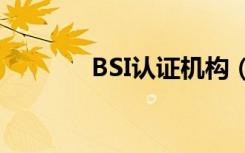 BSI认证机构（bsi认证查询）