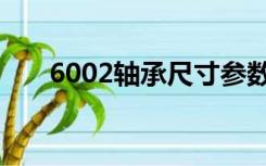6002轴承尺寸参数（6002轴承尺寸）